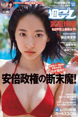 熊出没之怪兽计划2