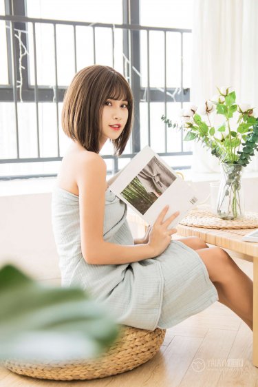 企鹅动画片